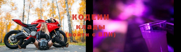 индика Сясьстрой