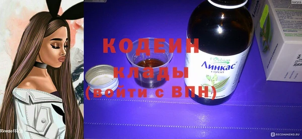 индика Сясьстрой