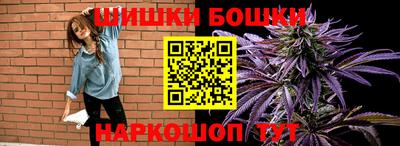 крисы Дубна