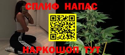 крисы Дубна