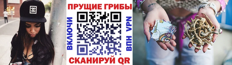 omg ТОР  Новочеркасск  Галлюциногенные грибы мицелий  купить  