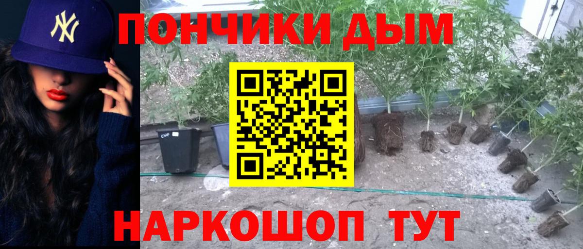 МАРИХУАНА Bruce Banner Новочеркасск